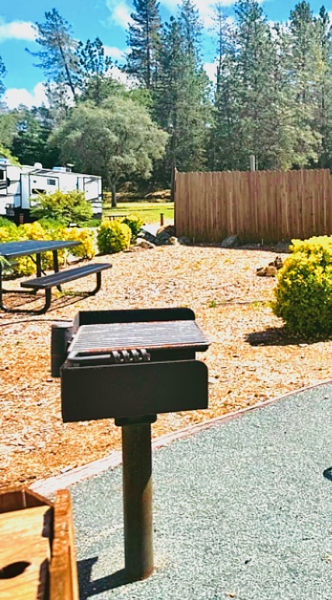 Outdoor BBQ grill and picnic area at the resort
