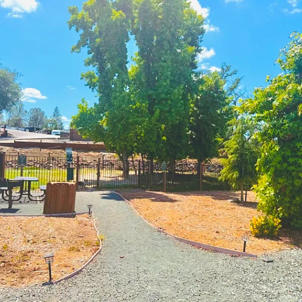 Dog-Park-2